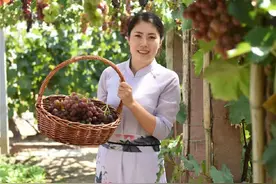 沂蒙山里回乡创业的金凤凰图片