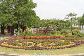 东海西双湖百合主题公园即将免费开放图片