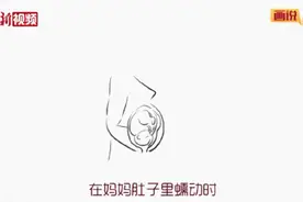 动画丨这一生，你需要它的守护图片