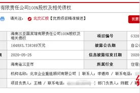 红星资本局｜三亚著名网红打卡地悦榕庄持续亏损，挂牌16亿出售图片