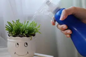 说好一起白头，你却偷偷焗油！染发的禁忌和误区了解一下图片