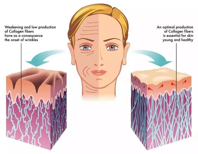 日本胶原蛋白纯粉哪个牌子好 2026年日本的胶原蛋白哪种好