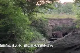 深山老林里住了30年，喝山泉水不用电灯泡，最让人羡慕的是他们的爱情图片