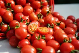 闵行番茄“云品鉴”！ 直播间抢货你准备好了么？图片