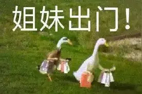 你离上海迪士尼的距离有多远？100米…直线距离！这样的民宿还不少图片