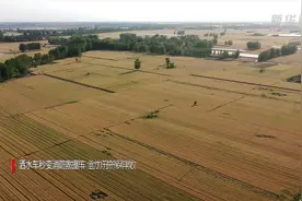洒水车秒变消防救援车 全力守护保丰收视频封面