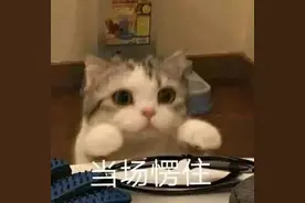 下个月截止！再不办理，可能影响个人信用图片