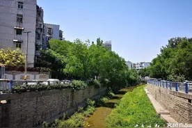 日调中水十万方，济南这五条河道要来活水图片
