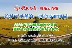 插秧比赛、捉泥鳅比赛、趣味抓鸭子……兴安盟稻田文化展示活动嗨翻了图片