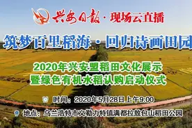插秧比赛、捉泥鳅比赛、趣味抓鸭子……兴安盟稻田文化展示活动嗨翻了图片