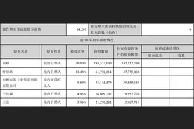 同花顺4位股东减持计划迭出：套现4.5亿后又公告要减持了图片