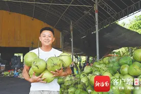 椰乡父子卖椰记：新时代新营销图片
