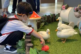 撸鸭、撸狗、撸刺猬，这座科技商场画风大变图片