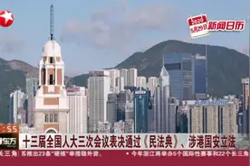 十三届全国人大三次会议表决通过《民法典》、涉港国安立法视频封面