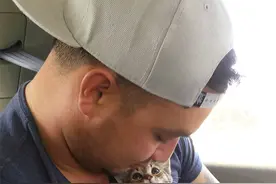 暖哭了：宠物对主人的深情凝视图片