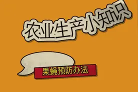 农业生产小知识：果蝇预防方法