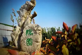 福山8.5万平方米新“隅园”，6月1日等您来打卡图片