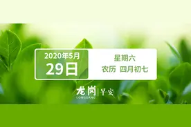 就近免试入园！深圳幼儿园秋季招生6月13日启动｜早安，龙岗图片