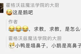 无论好命鸭还是幸运鹅，火场幸存的它都是团宠，网友求消防员开直播图片