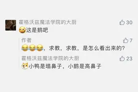 无论好命鸭还是幸运鹅，火场幸存的它都是团宠，网友求消防员开直播图片