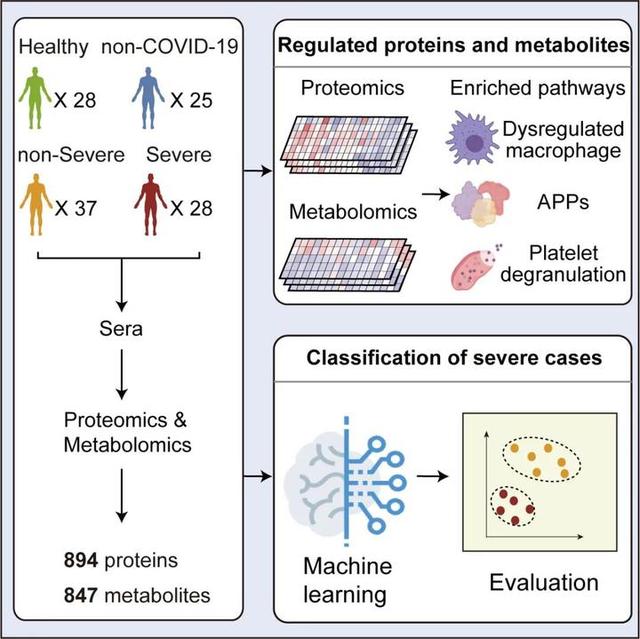 新高峰！恩泽科研成果首次出现在全球学术界顶级期刊