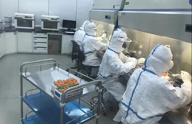 新高峰！恩泽科研成果首次出现在全球学术界顶级期刊