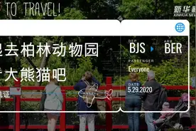 一起去柏林动物园看看大熊猫吧视频封面