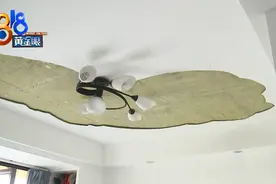 卧室一阵噼里啪啦，天花板脱落……图片