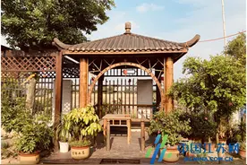 高港：五月乡村好风光，醉美大丰美如画图片