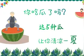 你吃瓜了吗？这5种瓜让你清凉一夏视频封面