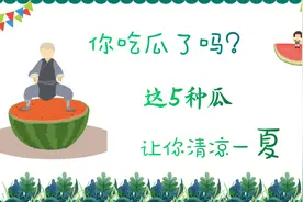 你吃瓜了吗？这5种瓜让你清凉一夏视频封面