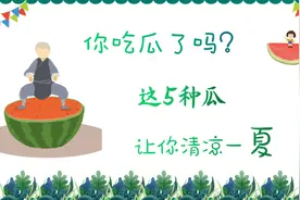 你吃瓜了吗？这5种瓜让你清凉一夏视频封面
