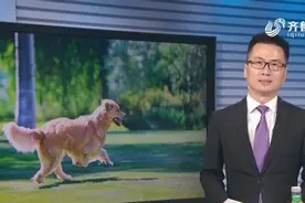 注意！农业农村部首次明确33种家养畜禽，狗未被列入，但可以养