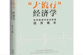 疫情冲击和应对政策的特征化事实图片