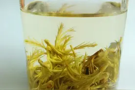 三步教你喝帝富莱黄鹂芽茶喝出甜蜜蜜的感觉图片
