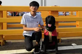 深生活｜导盲犬：你是我的“眼”，也是我的“亲人”图片