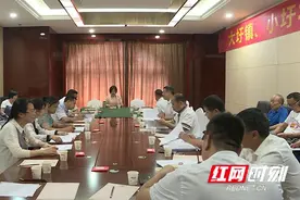 江华：龙飞凤参加大圩镇、小圩壮族乡人大代表团分组讨论图片