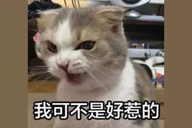 可怕！发现钥匙能开别人家门，男子4次闯入对门女邻居家……图片
