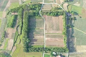 钦州市历史文化田野调研纪实：探寻钦州历史遗迹 增亮钦州文化底色图片