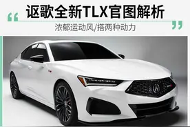 讴歌全新TLX  搭两种动力图片