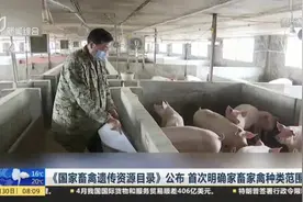《国家畜禽遗传资源目录》公布  首次明确家畜家禽种类范围视频封面