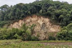 鄞州东吴镇有人偷挖山石？镇政府：用来修溪坑 不存在偷卖图片