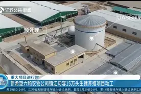 重大项目进行时：新希望六和农牧公司句容15万头生猪养殖项目动工视频封面