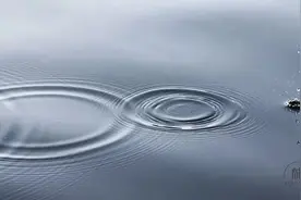 傻傻的我，就这样简单的活（看完清醒了）图片