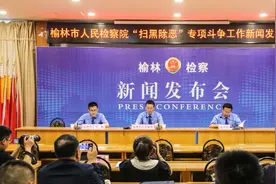 榆林“扫黑除恶”成效显著 批准逮捕涉黑涉恶案件116件374人图片
