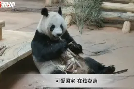 动物园开园 鞍山再添旅游新地标图片