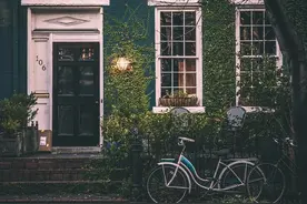 美国人疯抢自行车？中国货还没到就被订空，自行车到底怎么了？图片