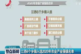 江西6个乡镇入选2020年农业产业强镇名单视频封面