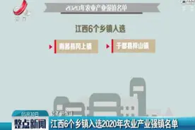 江西6个乡镇入选2020年农业产业强镇名单视频封面
