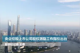 央企控股上市公司股权激励工作指引出台视频封面